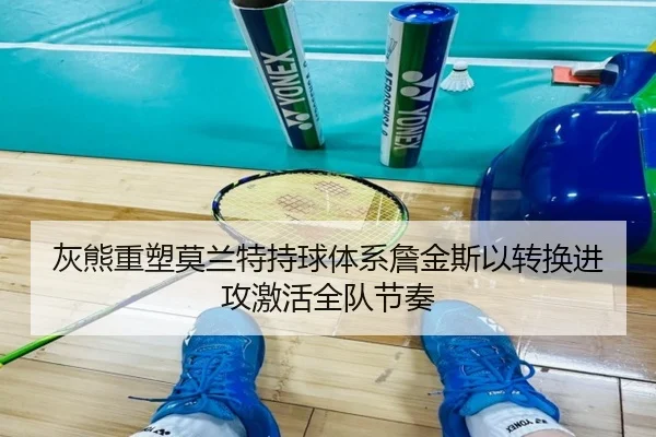 灰熊重塑莫兰特持球体系詹金斯以转换进攻激活全队节奏（kaiyun）